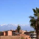 Exclusive Apartment in Hivernage – Marrakech8
