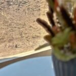 1-Bedroom Apartment with Large Terrace – Guéliz : Victor Hugo, Marrakech7